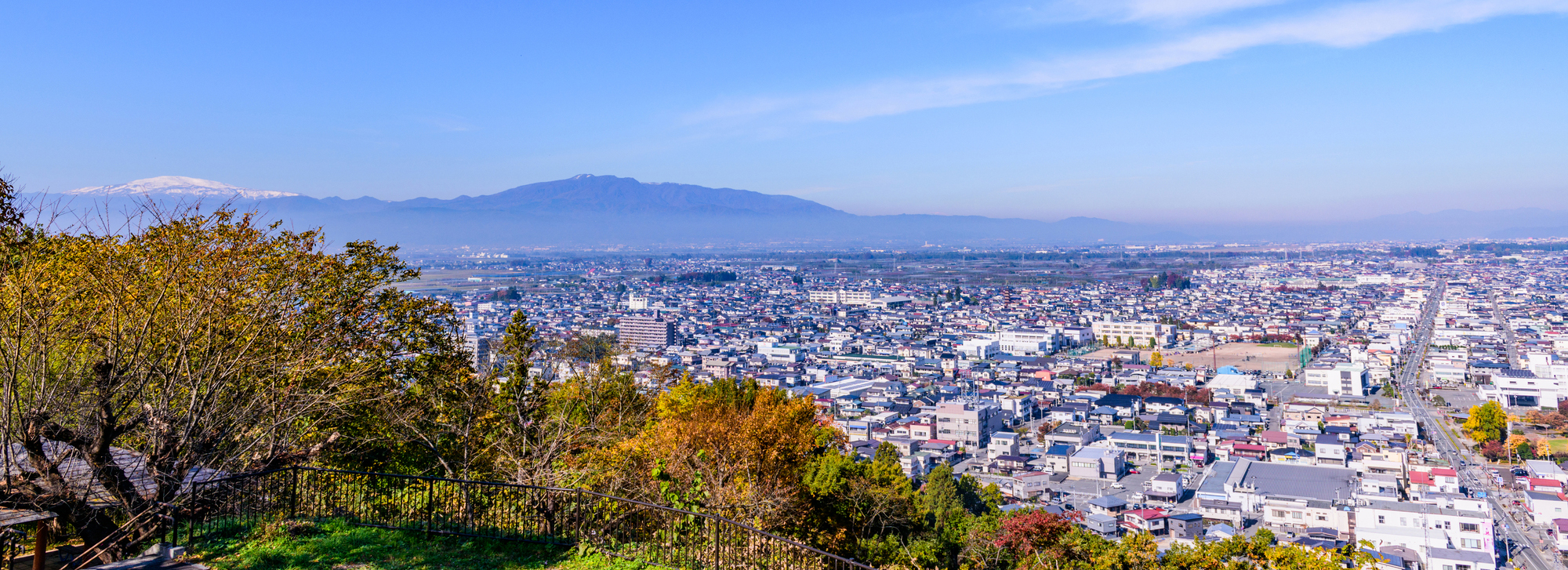 果樹園の風景