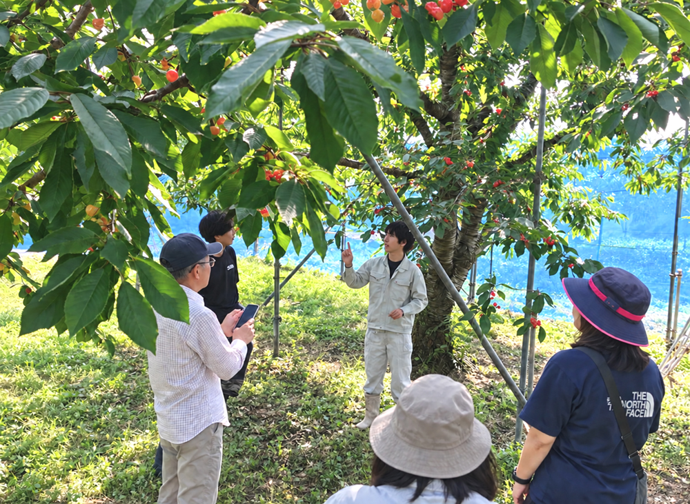 農作業サポーターが農家と協力する様子